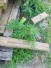 20190720_110538.jpg