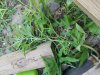 20190720_110636.jpg