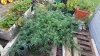 20190914_063903.jpg