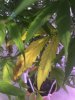 EB855BD6-11BF-4DA6-A1EC-C734E70B3507.jpeg