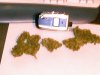 IMAG0006.jpg