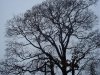first snow 004.jpg