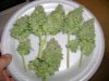 DSC01417.jpg