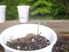 DSC00428.jpg