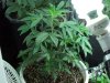 100_0173.jpg