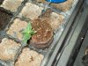 100_0174.jpg