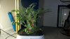 100_0055.jpg