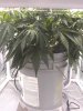 IMG_20190928_064706682.jpg