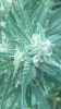 91417B13-096F-449F-A7F3-5293DA8780A3.png