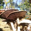 20191001_163245.jpg 20191001_163245.jpg