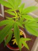 20191003_105721.jpg