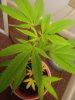 20191003_105715.jpg