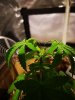 IMG_20191005_135553.jpg