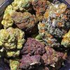 132a5d4ced50248fa013c0242b427b7f--cannabis-oil-medical-marijuana.jpg