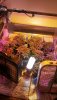 20191005_002820_HDR.jpg