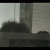 FamiliarDelectableHatchetfish-size_restricted.gif