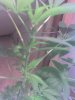 04-30-09_1537.jpg