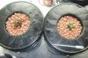 100_0061.jpg