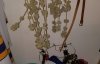 20191015_093034.jpg