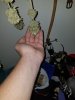 20191015_093539.jpg