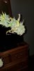 20191009_163324.jpg