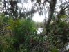 DSCF3738.JPG