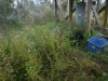 DSCF3758.JPG