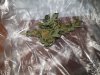 20191020_053857.jpg