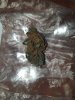 20191020_053634.jpg