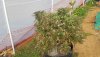 20191029_134051.jpg