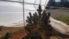 20191029_134207.jpg