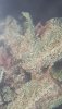 VideoCapture_20191031-154847.jpg