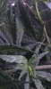 21050ACB-6008-4C2F-B39B-416F0961A713.png
