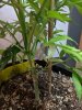 IMG_20191105_165039.jpg