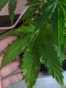 IMG_20191105_165024.jpg