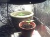 Picture 001.jpg