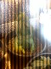 p_00111.jpg