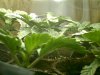 may 10 2009-s-002.jpg