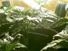 may 10 2009-s-009.jpg