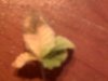 IMG00111.jpg