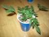 100_0176.jpg
