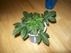 100_0178.jpg