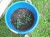 100_0179.jpg