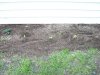 100_0182.jpg