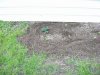 100_0183.jpg