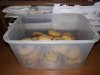 IMG_20191107_210800.jpg