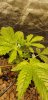 20191110_104642.jpg