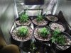 IMG_20191113_212654.jpg