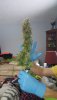 received_420927798850031.jpeg