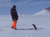 giphy (93).gif